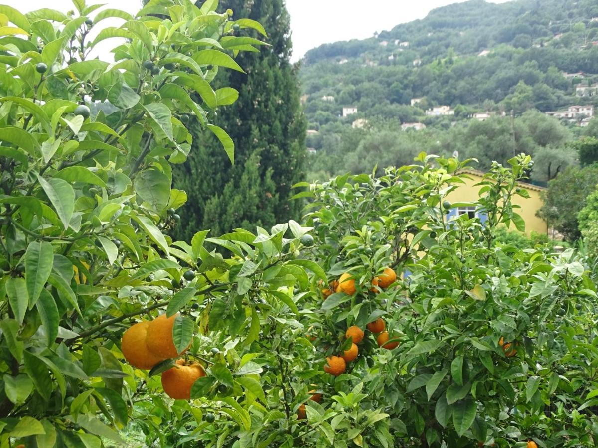 Luva D'Azur, Rez De Villa Le Riou - Le Vallon Le Bar-sur-Loup Dış mekan fotoğraf
