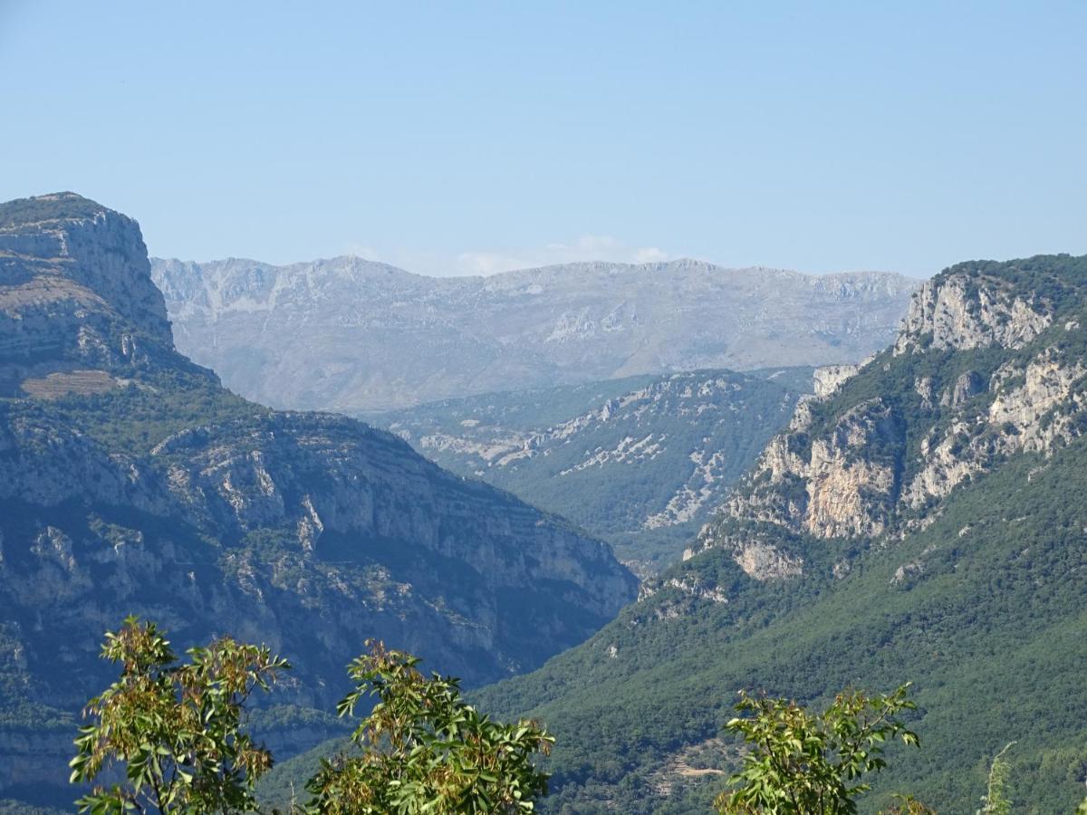 Luva D'Azur, Rez De Villa Le Riou - Le Vallon Le Bar-sur-Loup Dış mekan fotoğraf