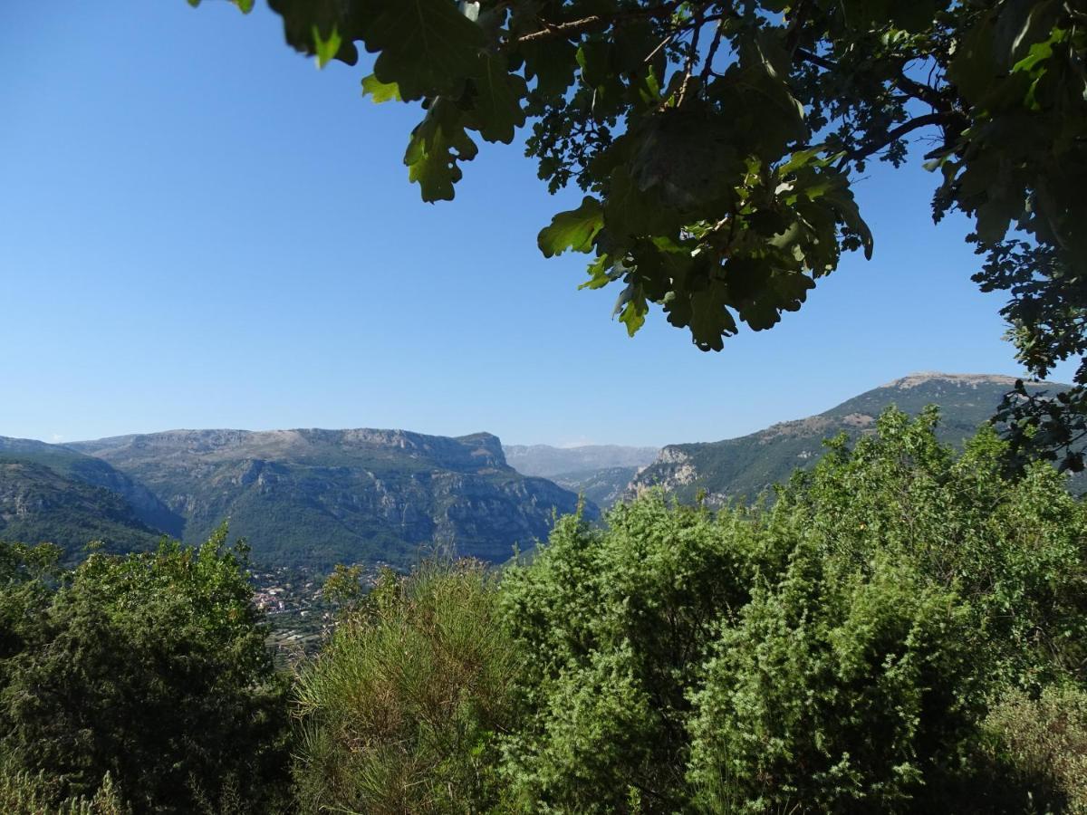 Luva D'Azur, Rez De Villa Le Riou - Le Vallon Le Bar-sur-Loup Dış mekan fotoğraf