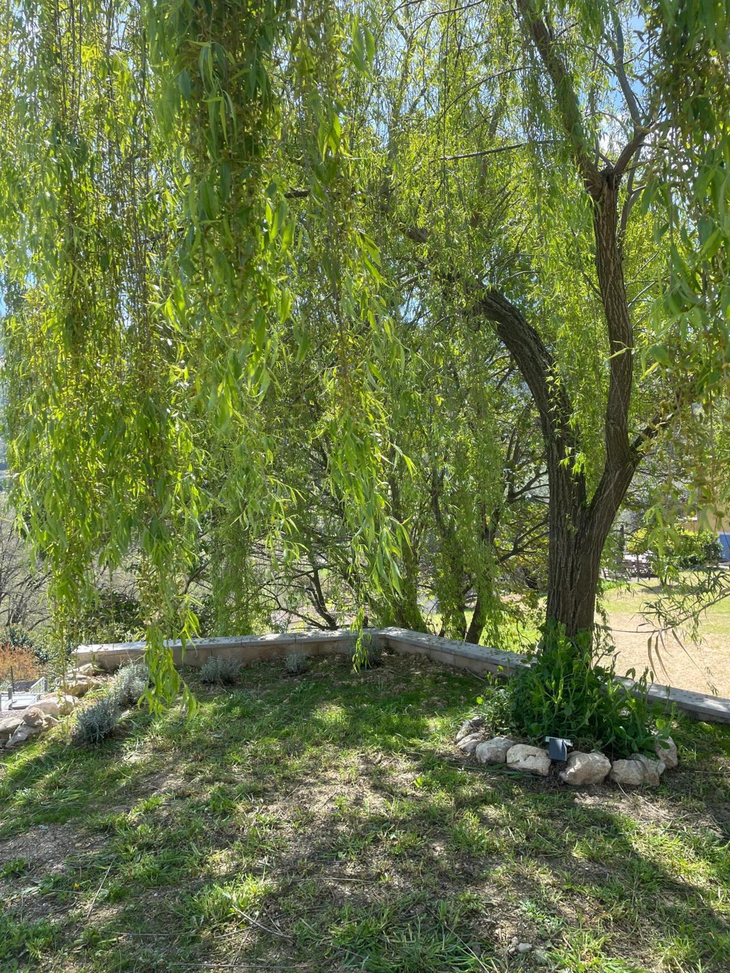 Luva D'Azur, Rez De Villa Le Riou - Le Vallon Le Bar-sur-Loup Dış mekan fotoğraf